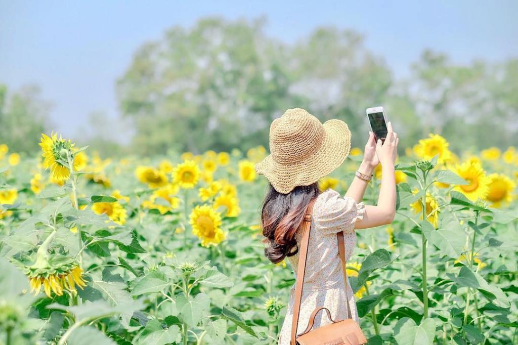 This image has an empty alt attribute; its file name is 26867763_1704864266261565_2691629654778839040_n.jpg