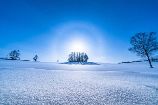 1dd1849295391205b178fc314667f26e