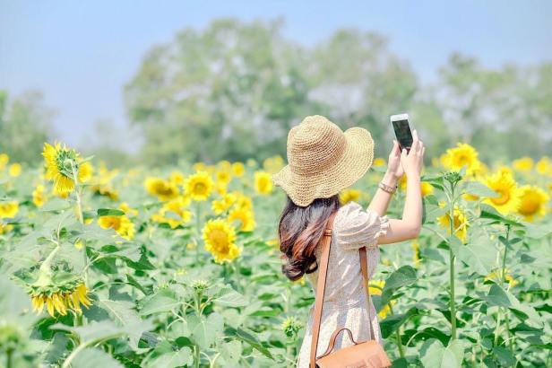 26867763_1704864266261565_2691629654778839040_n