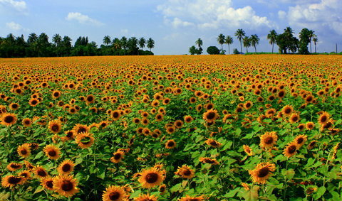 aHR0cHM6Ly9zLmlzYW5vb2suY29tL3RyLzAvdWQvMjc4LzEzOTE0MzkvMDAxXzEuanBn