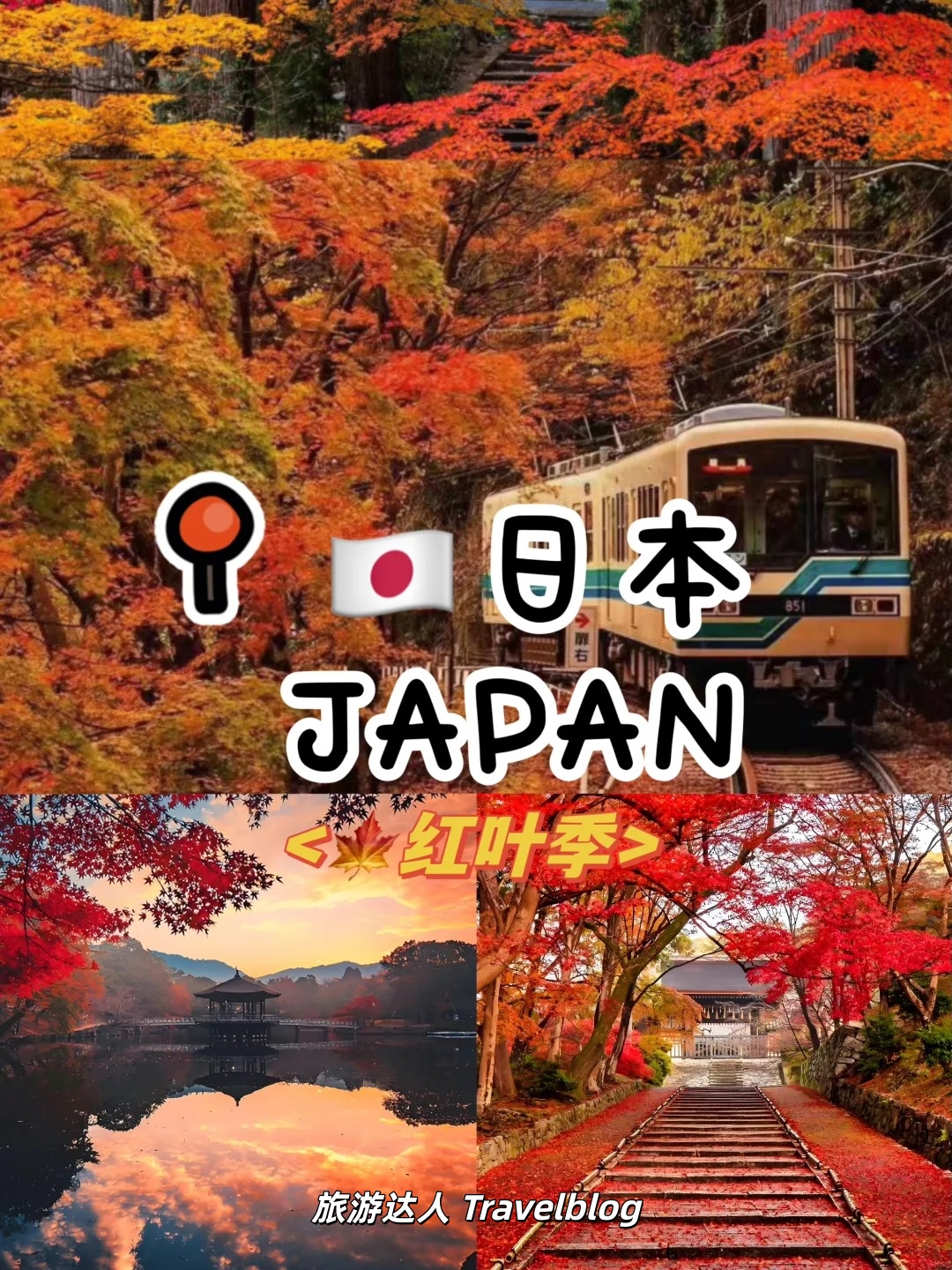🇯🇵🍁日本红叶季最新攻略｜收藏这份赏枫时间表，规划秋日旅行刚刚好！