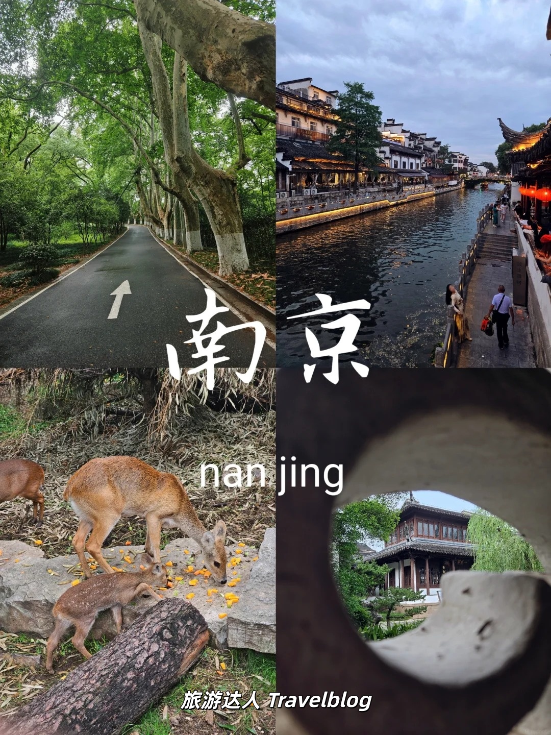 一座南京城，半部中国史