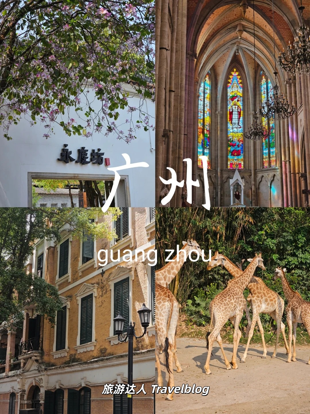 走进广州，在骑楼与珠江之间感受岭南慢生活