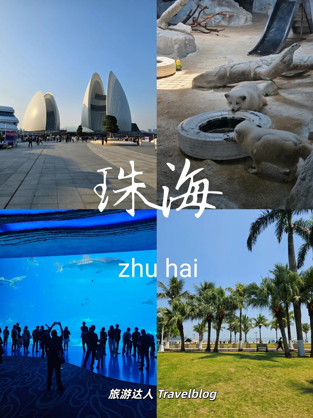 珠海慢生活，一半海风，一半童话
