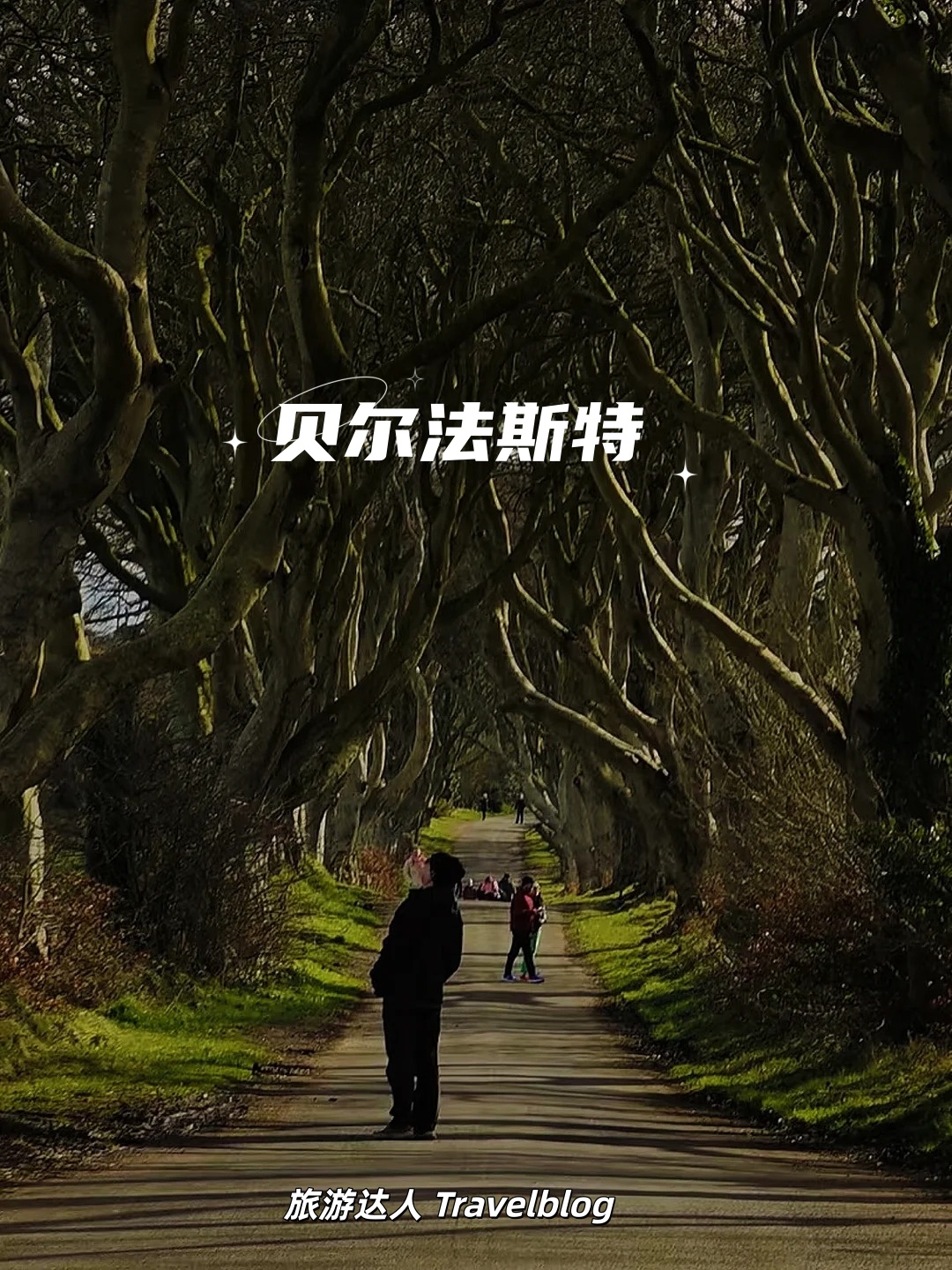 🇬🇧 Belfast·贝尔法斯特｜北爱尔兰旅行必打卡✨