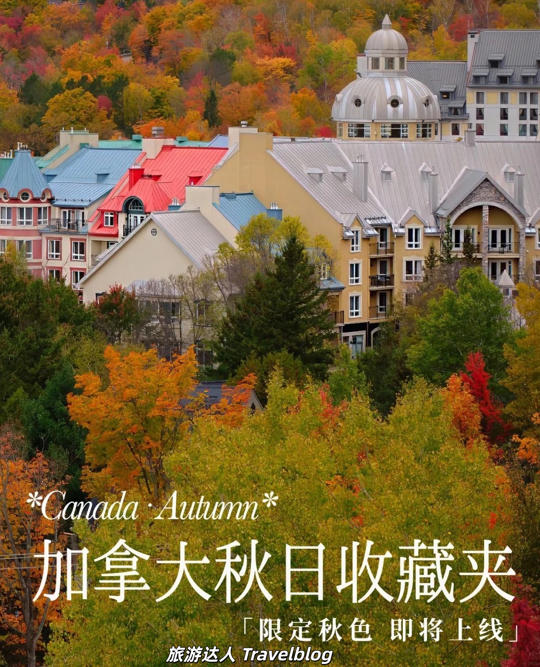 🍁加拿大秋天有多美？去了才知道！