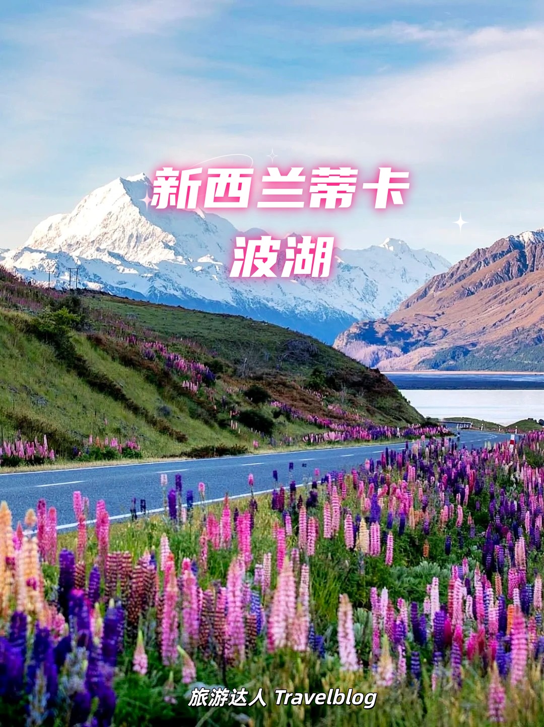 🇳🇿 新西兰蒂卡波湖旅行指南｜赴一场紫色鲁冰花之约💜